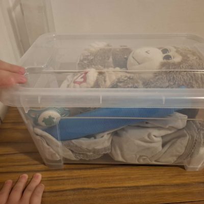 זיכרון התאי של פג